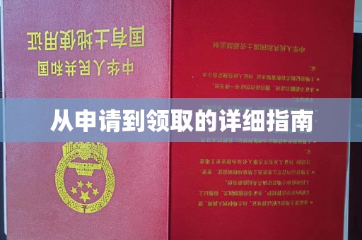 周口从申请到领取的详细指南