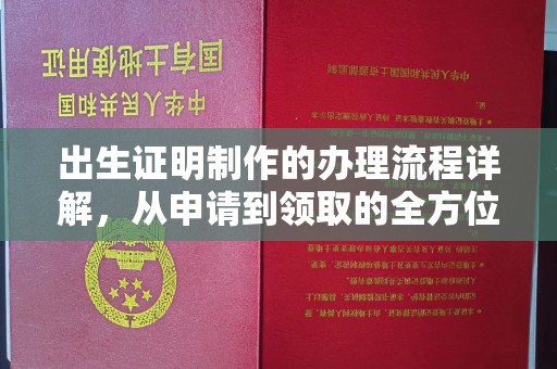 周口出生证明制作的办理流程详解，从申请到领取的全方位指南