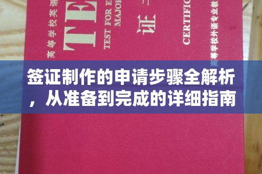周口签证制作的申请步骤全解析，从准备到完成的详细指南