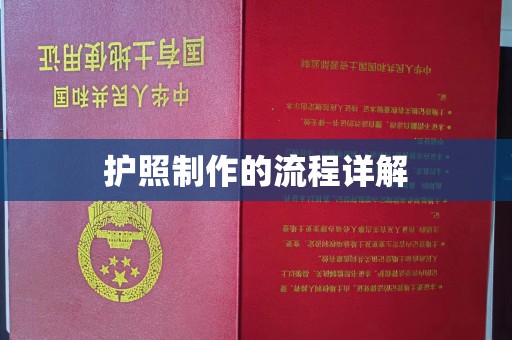 周口护照制作的流程详解