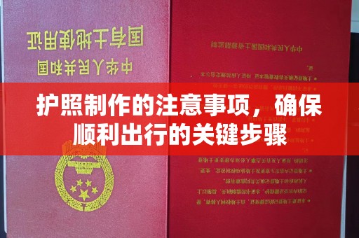 周口护照制作的注意事项，确保顺利出行的关键步骤