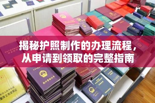 周口揭秘护照制作的办理流程，从申请到领取的完整指南