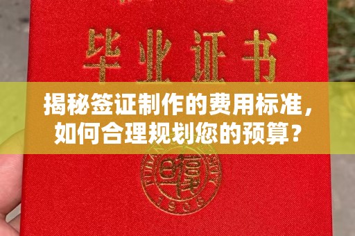 周口揭秘签证制作的费用标准，如何合理规划您的预算？