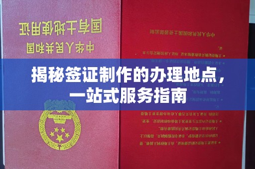 周口揭秘签证制作的办理地点，一站式服务指南