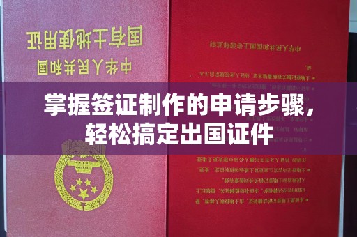 周口掌握签证制作的申请步骤，轻松搞定出国证件