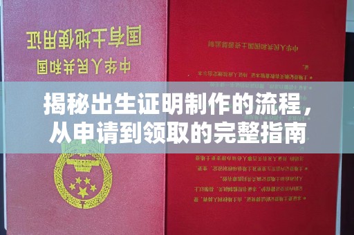 周口揭秘出生证明制作的流程，从申请到领取的完整指南