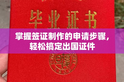 周口掌握签证制作的申请步骤，轻松搞定出国证件